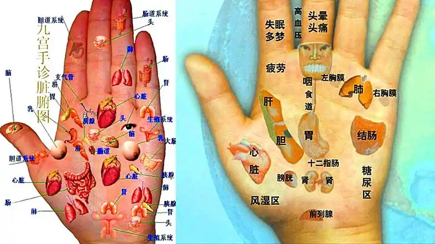 几乎失传的"手诊诀"