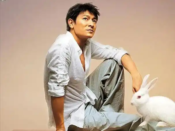 刘德华出道几十年依旧是顶流,细看资产有被惊到,这才叫名利双收