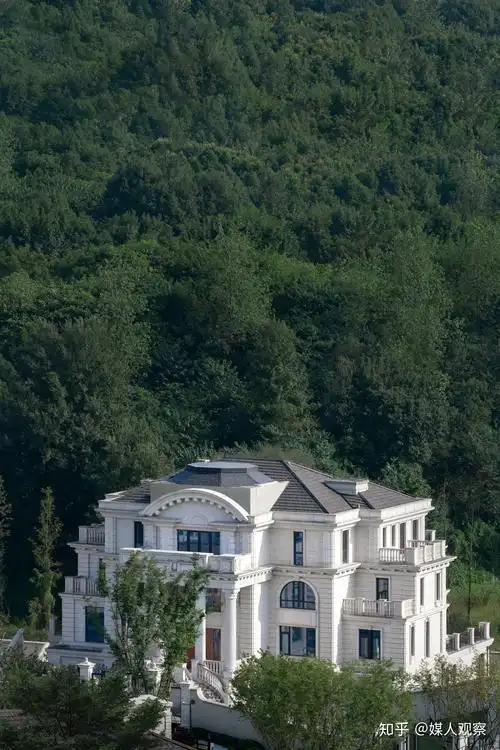 重庆有哪些豪宅