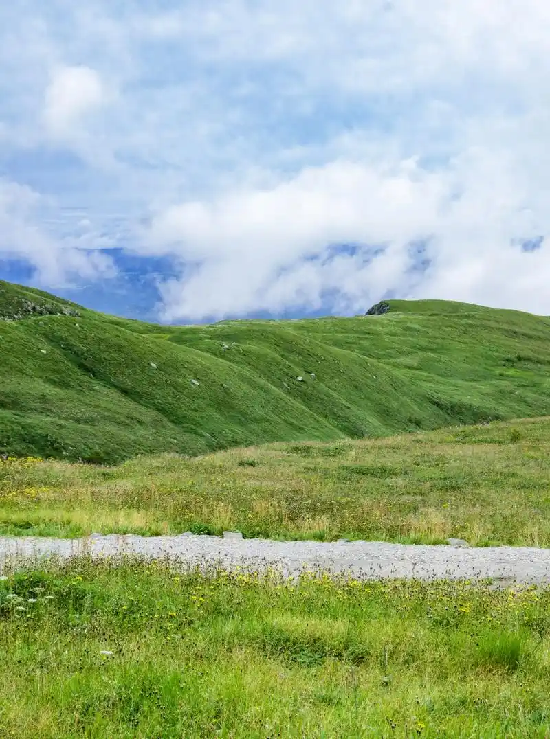 长白山 #高山草甸 #感受大自然的气息和美景 - 抖音