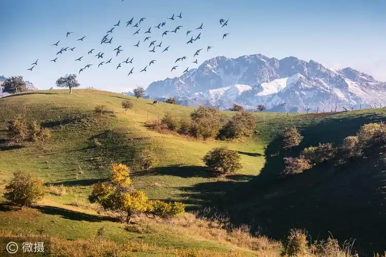 [塞外江南·诗画伊犁]霍城中华福寿山:满山尽染黄金甲,色彩斑斓秋意浓