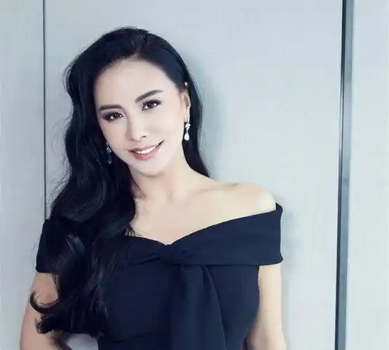 被马景涛家暴?公开与富豪老公分手,敢对规则说不的田丽图啥?