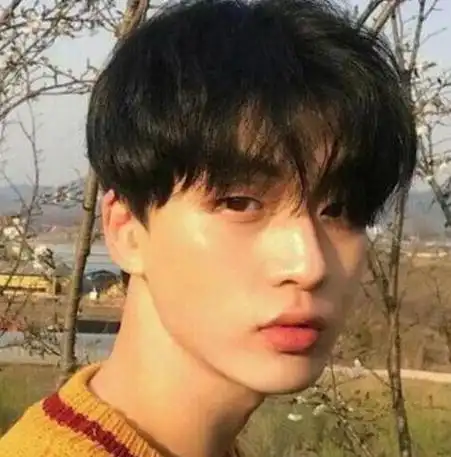 但是因为整体的效果和锅盖头差不多,所以也有很多人讲这种带着中分的