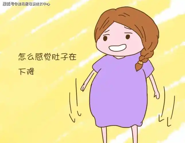 子宫底处于孕期最高点,而胎儿入盆后,子宫底会下降回到怀孕8个月的