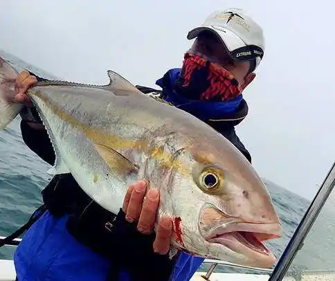 章红鱼海钓人最爱,既好吃又保健,南海钓友专钓章红,调理亚健康