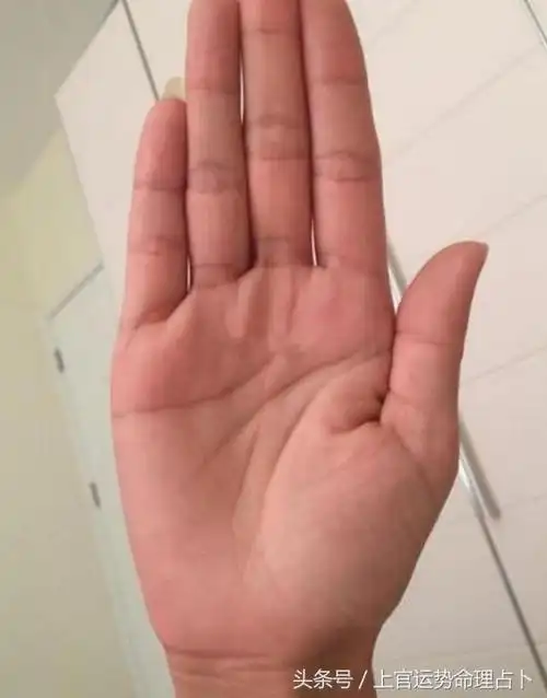 手相中有"生殖纹",生殖力强,未来子女定会成龙成风