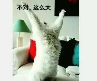 不对,这么大 - 斗图表情包 - 斗图神器 - adoutu.com