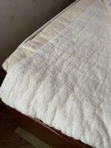 请各路大神帮我看看这是什么虫子床单上棉絮上都是家里有一只猫有没有