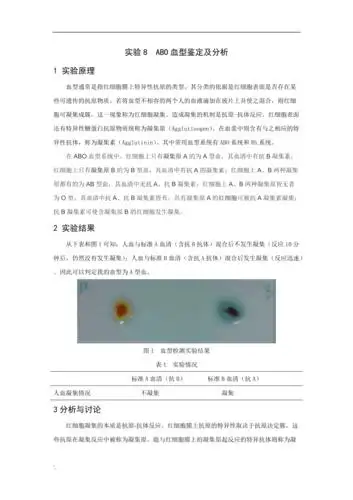 abo血型鉴定及分析