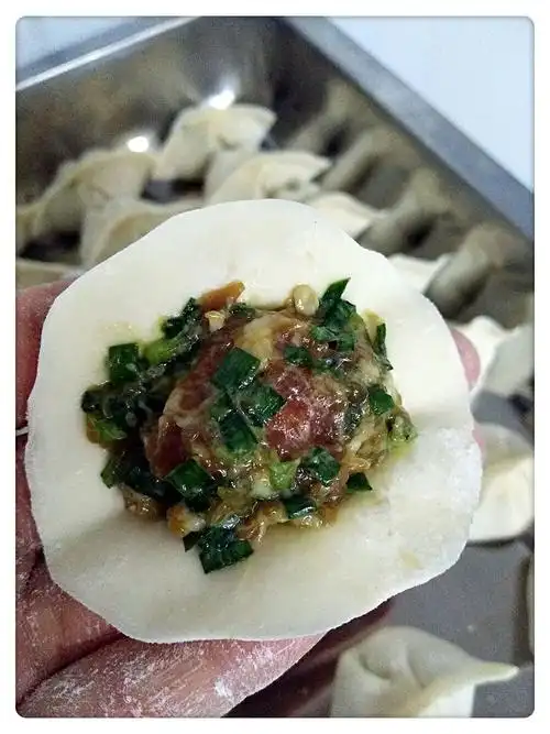 韭菜肉馅饺子