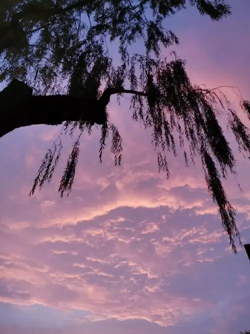 易烊千玺电影长津湖