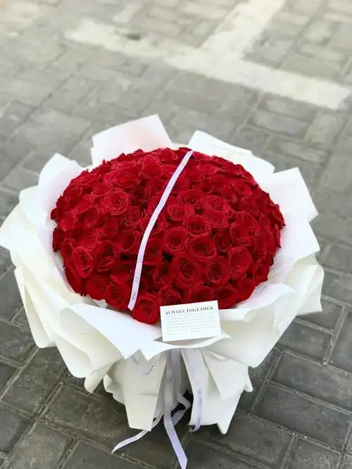 99朵红玫瑰白色包装花束