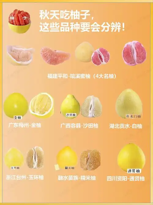 好吃的柚子品种有哪些记住这7个产地