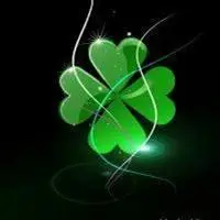 四叶草头像图片大全_幸运四叶草头像图片_微信头像图片大全