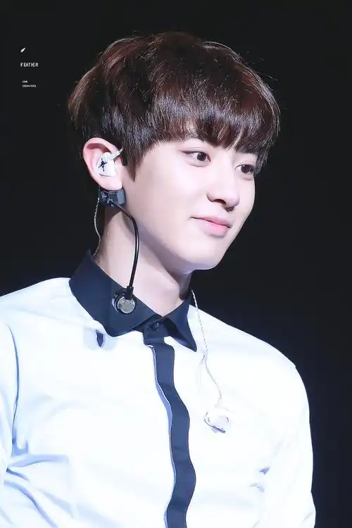 exo 朴灿烈 南京演唱会 最好看的是你的笑容