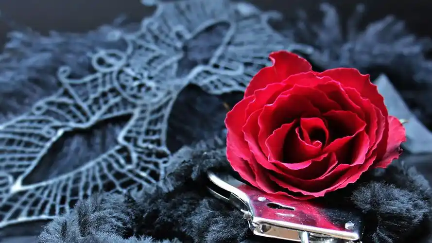 唯美艳丽的红玫瑰图片桌面壁纸