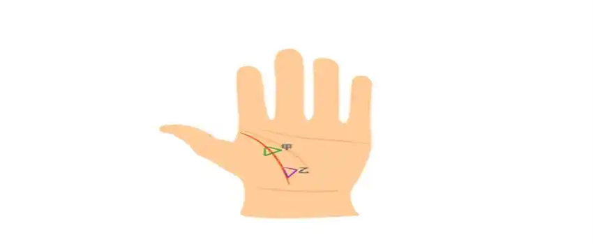 详解:生命线上出现三角纹路(三角纹位于生命线,生命线和三角纹重叠