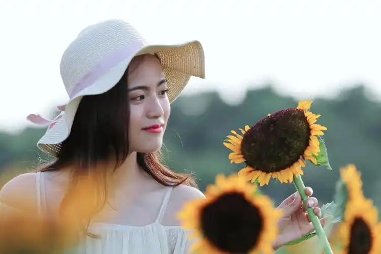 微笑着拥抱每一天,做像太阳花一样温暖阳光的女子,如太阳般明媚,耀眼!