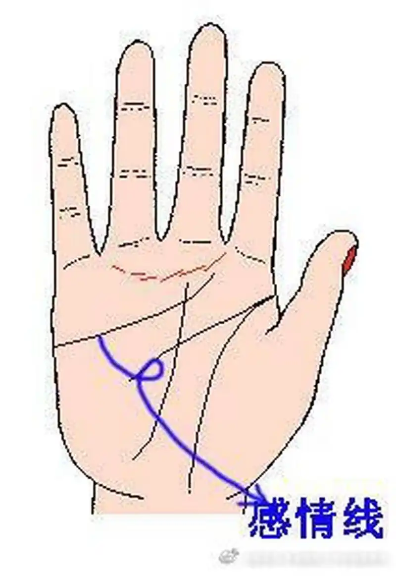 手相算命,sex结婚者的手相特征[如上图]:金星带又名金星线,是在感情线
