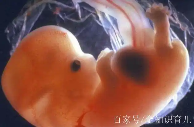 怀孕四十天b超看不到孕囊,小腹痛正常吗?