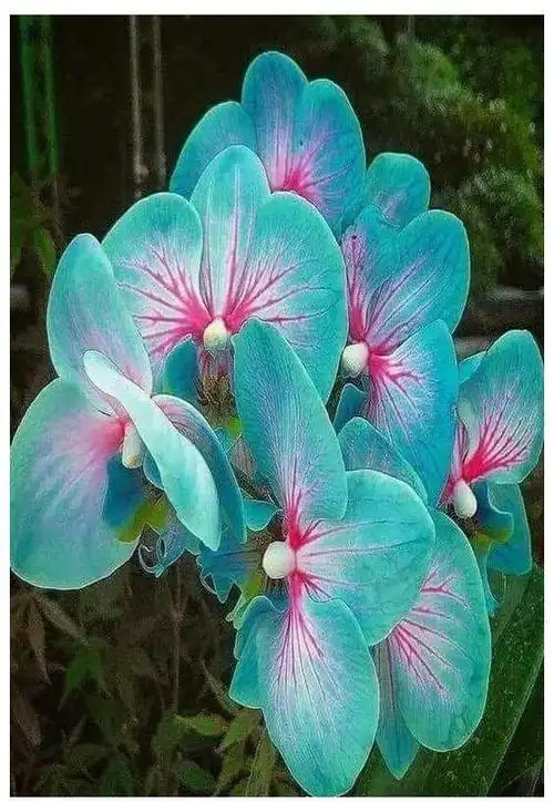 564_817竖版 竖屏