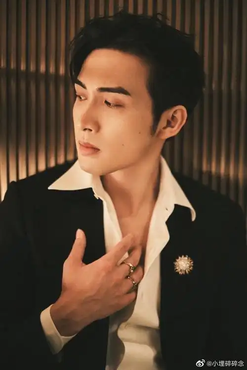 张彬彬|生日大片