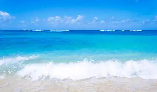 夏威夷沙滩温柔的海浪在夏威夷的沙滩上照片