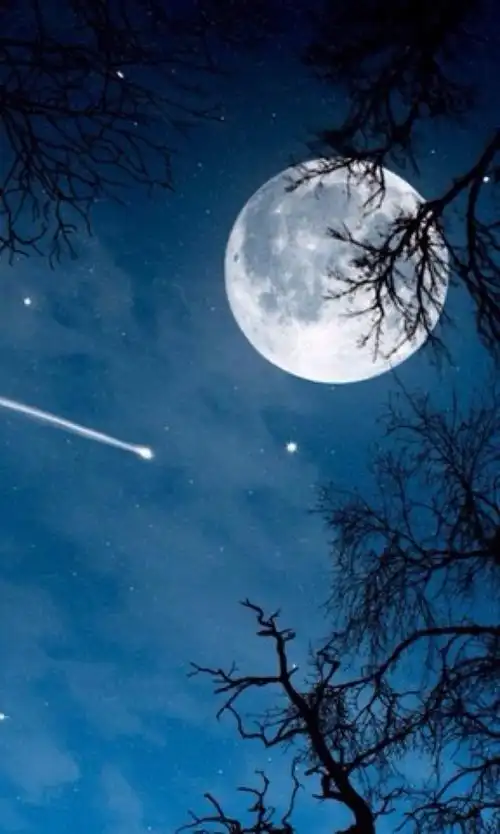 描写城市夜景伤感句子 描写城市夜景的句子(共10篇)