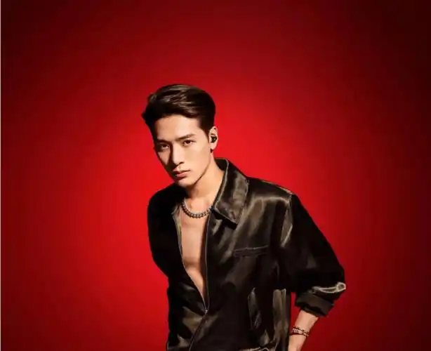 王嘉尔北京演唱会暂停,因身体出现不适,无法进行表演_问题_行业_歌迷