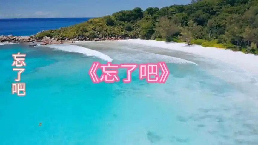 一首伤感情歌《忘了吧》