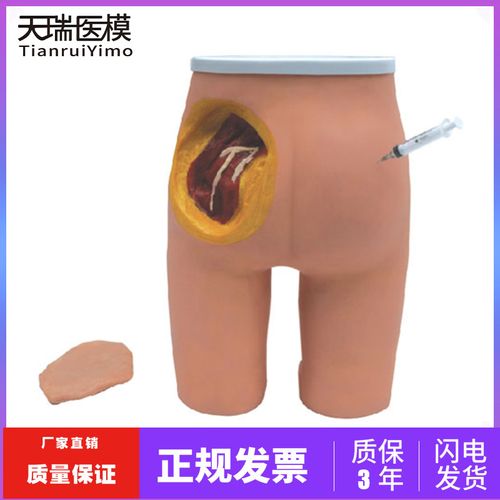高级臀部肌肉注射与解剖结构模型 臀部肌肉注射练习模型 医用模型