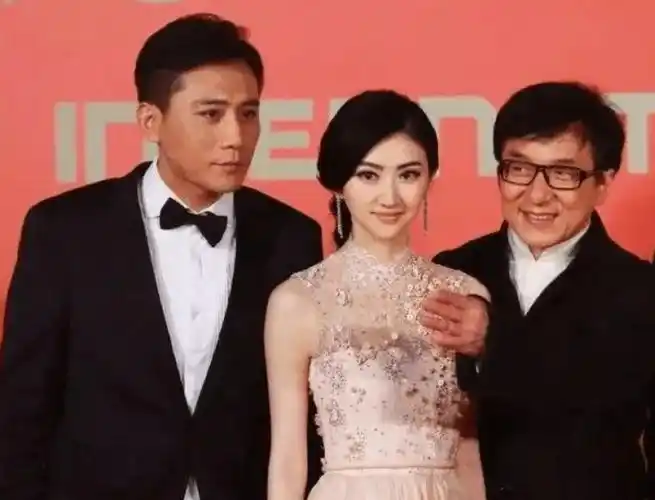 《特殊身份》,成龙的《警察故事2013》以及周润发的《澳门风云》