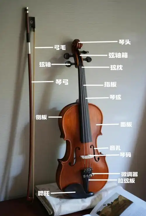 🎻小提琴构造详解:初学者必知的基础知识