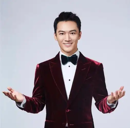 春晚上让人过目不忘,两会直播不忍转台,张韬让观众又爱上看电视_手机