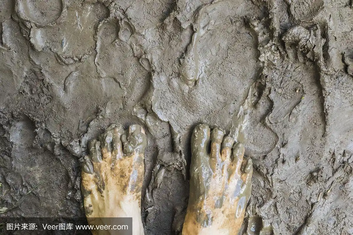 光脚鸟瞰森林泥面