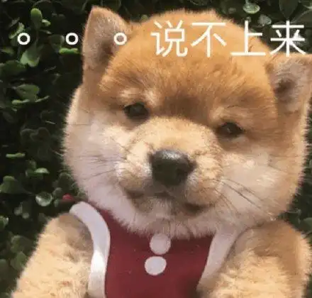 搞笑表情包拿图片:可爱沙雕,欢聚一堂