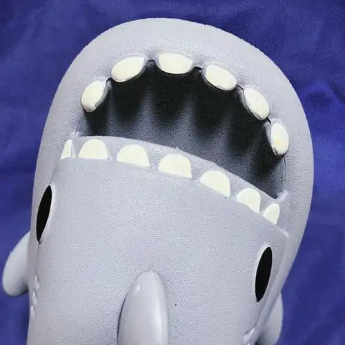 买了一只可爱小鲨鱼00