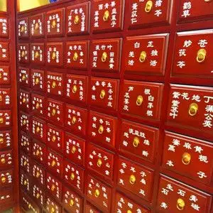 新版中药柜名字贴药斗标签中草药药谱中医药材名字贴一横两竖斗谱