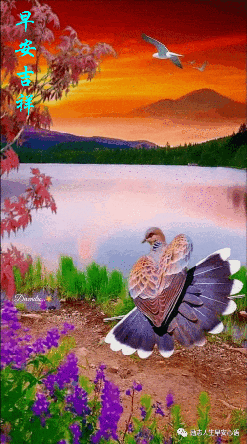 564_1013竖版 竖屏gif 动态图 动图