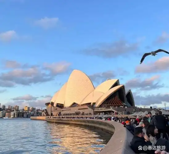 旅游回来后,有些话不知该不该说,澳大利亚和想象不太一样