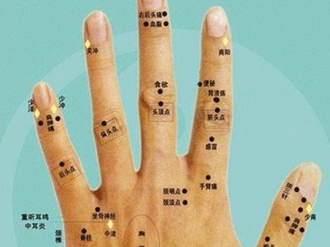 大拇指有痣在面相学中如果大拇指或者是其附近有痣,这表示父母亲是