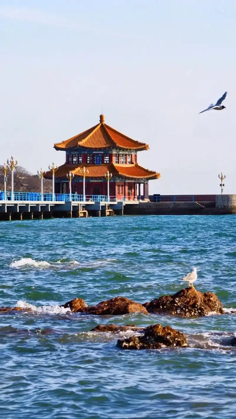 青岛·栈桥景区攻略.99详细地址: 青岛市市南区太平路12号 - 抖音