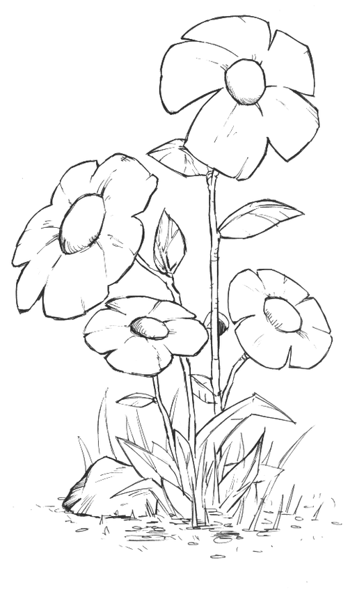 关于花的封面手绘简笔画 简笔画图片大全-蒲城教育文学网