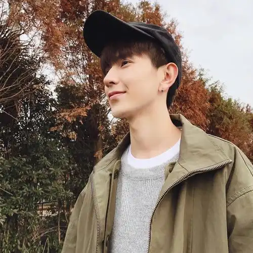 深秋双眼皮美男子