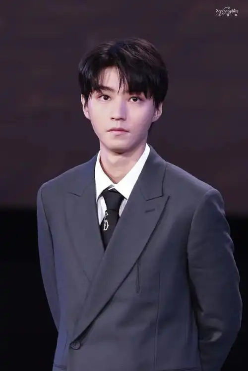 王俊凯平遥电影展特约策展人##王俊凯红毯全身镜头