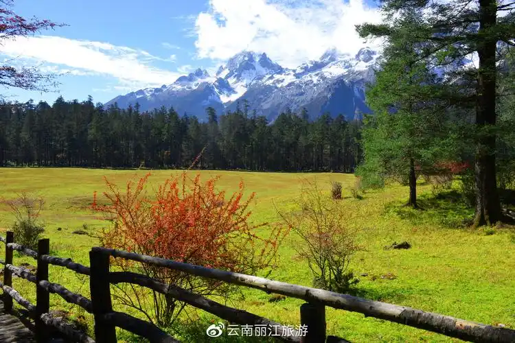 七月 来您的丽江