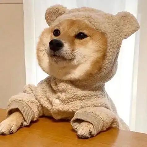 萌宠大哥头像 男生头像图片大全 -【爱个性】