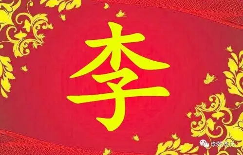 妈我交了个男朋友他姓李