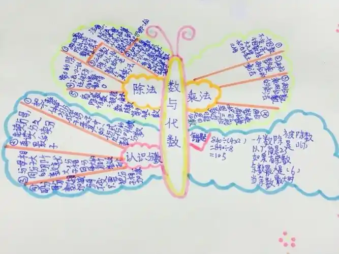 三(8)班孩子整理复习(数与代数)的思维导图