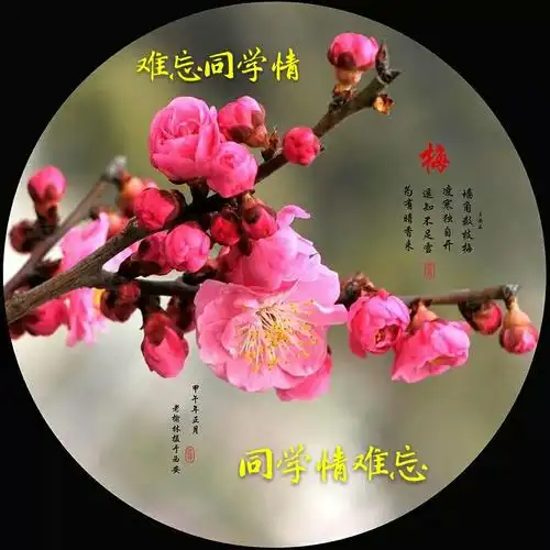 74届《八》班,同学联谊会.2019/03/10
